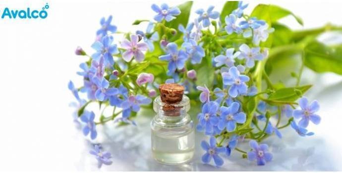 La Importancia de Tener un Buen Aroma en tu Negocio